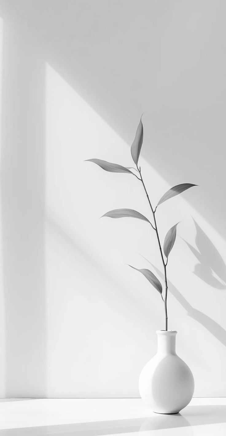 Elysian Suite